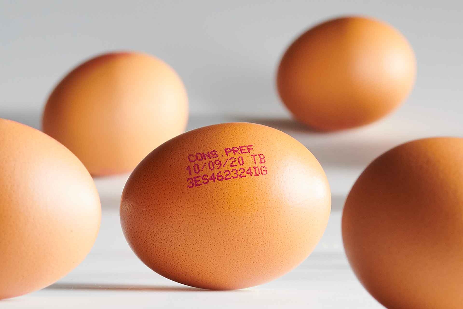 库博体育app官网